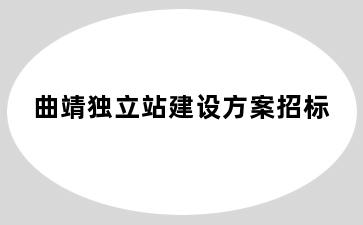曲靖独立站建设方案招标