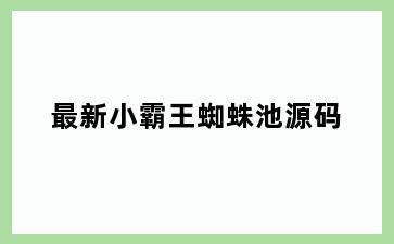 最新小霸王蜘蛛池源码