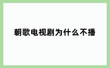 朝歌电视剧为什么不播