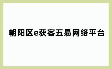 朝阳区e获客五易网络平台
