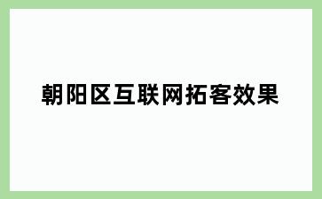 朝阳区互联网拓客效果