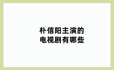 朴信阳主演的电视剧有哪些