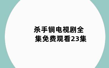 杀手锏电视剧全集免费观看23集