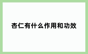 杏仁有什么作用和功效
