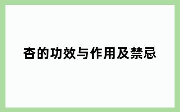 杏的功效与作用及禁忌
