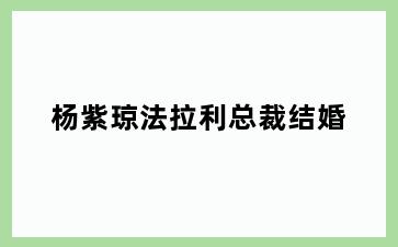 杨紫琼法拉利总裁结婚