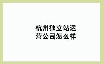 杭州独立站运营公司怎么样