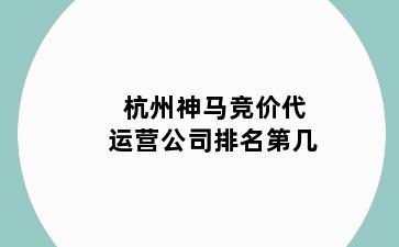 杭州神马竞价代运营公司排名第几