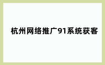 杭州网络推广91系统获客