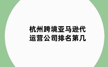 杭州跨境亚马逊代运营公司排名第几