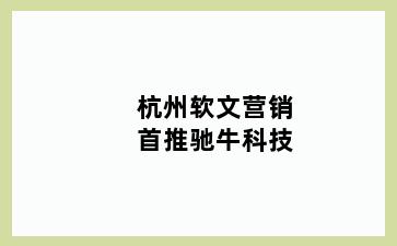 杭州软文营销首推驰牛科技