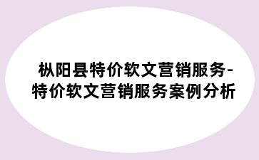 枞阳县特价软文营销服务-特价软文营销服务案例分析
