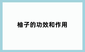 柚子的功效和作用