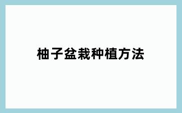 柚子盆栽种植方法