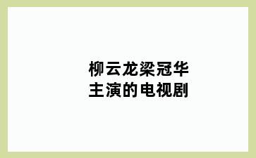 柳云龙梁冠华主演的电视剧