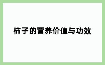 柿子的营养价值与功效