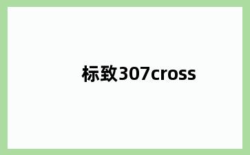 标致307cross