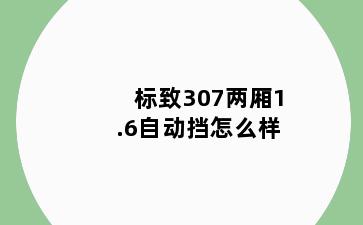 标致307两厢1.6自动挡怎么样