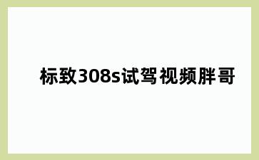 标致308s试驾视频胖哥