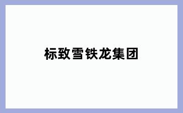 标致雪铁龙集团