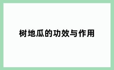 树地瓜的功效与作用