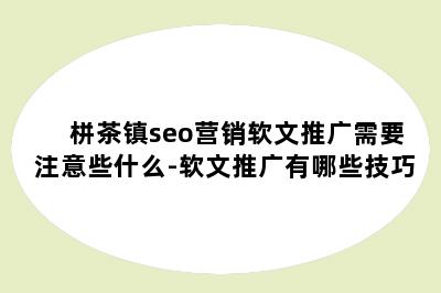栟茶镇seo营销软文推广需要注意些什么-软文推广有哪些技巧