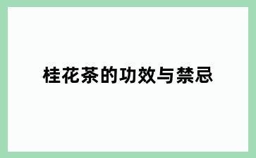 桂花茶的功效与禁忌