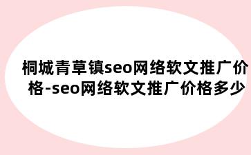桐城青草镇seo网络软文推广价格-seo网络软文推广价格多少