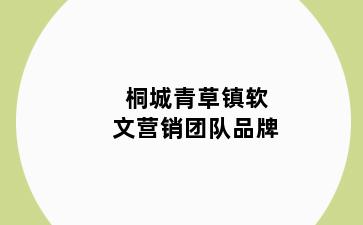 桐城青草镇软文营销团队品牌