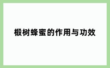 椴树蜂蜜的作用与功效