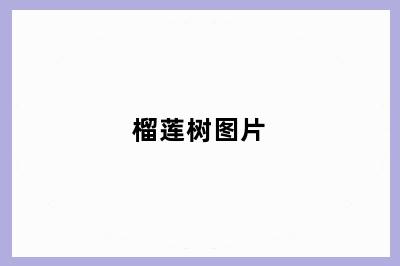 榴莲树图片