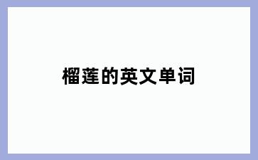 榴莲的英文单词