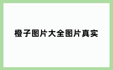 橙子图片大全图片真实