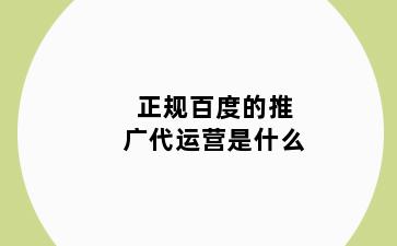 正规百度的推广代运营是什么