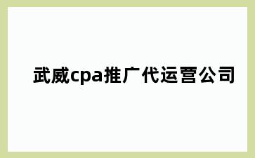 武威cpa推广代运营公司