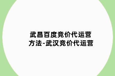 武昌百度竞价代运营方法-武汉竞价代运营