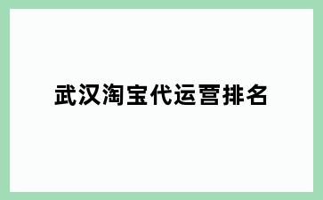 武汉淘宝代运营排名