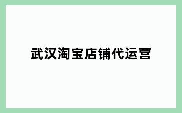 武汉淘宝店铺代运营