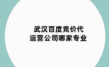 武汉百度竞价代运营公司哪家专业