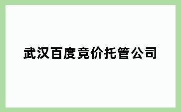 武汉百度竞价托管公司