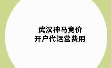 武汉神马竞价开户代运营费用