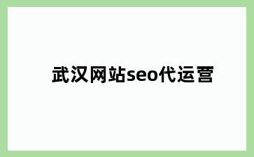 武汉网站seo代运营