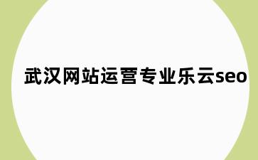 武汉网站运营专业乐云seo