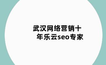 武汉网络营销十年乐云seo专家
