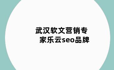 武汉软文营销专家乐云seo品牌