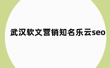 武汉软文营销知名乐云seo