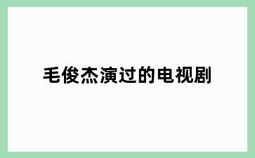 毛俊杰演过的电视剧