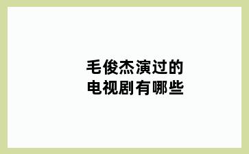 毛俊杰演过的电视剧有哪些