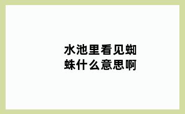 水池里看见蜘蛛什么意思啊