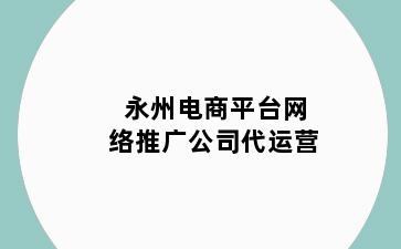 永州电商平台网络推广公司代运营